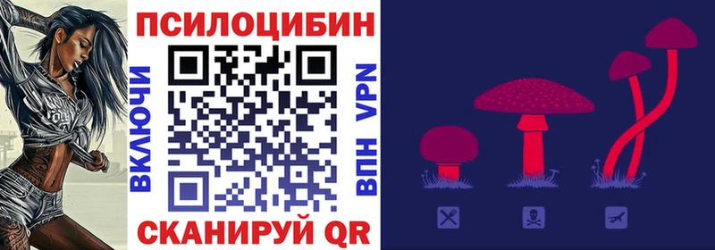 купить Кяхта Галлюциногенные грибы GOLDEN TEACHER